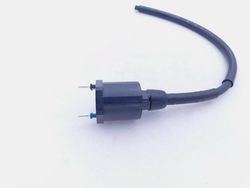 Genuine Honda Ignition Coil TRX200 TRX250 R CH250 ATC350 X FL350 TRX350 OEM